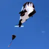 Baleine géante - dauphin - sans cadre - cerf-volant de plage avec ligne - 2 mètres