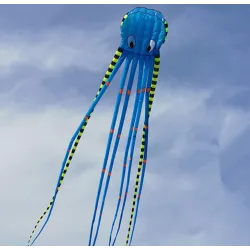 Cerf-volant de plage sport - gonflable - pliable - pieuvre rayée - 8M