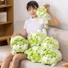 Chien chou vert - oreiller moelleux - jouet
