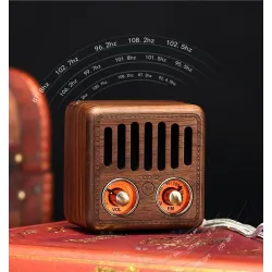 Haut-parleur rétro en plastique - radio FM numérique - Bluetooth