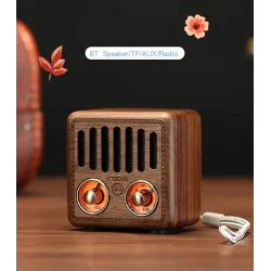 Haut-parleur rétro en plastique - radio FM numérique - Bluetooth