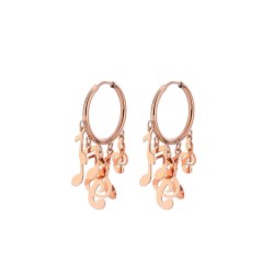 Small hoop earrings - with hanging music notesEarrings