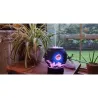 Humidificateur d'air à ultrasons - diffuseur d'huiles essentielles - forme de lune - LED
