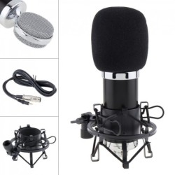 BM 5000 - microphone à condensateur professionnel - avec contrôle de circuit - diaphragme plaqué or