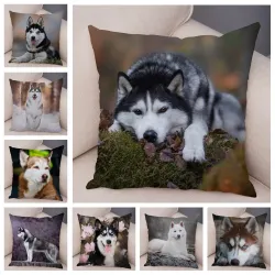 Housse de coussin déco - Chien husky sibérien - 45*45 cm