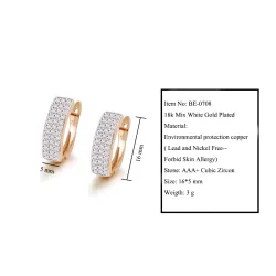 Gold zircon earringsEarrings