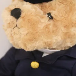 Ours en peluche pilote / capitaine - hôtesse de l'air - peluche