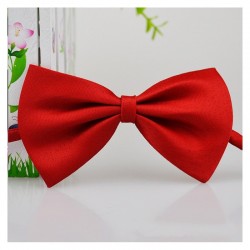 Decorative bow-tie - collar - for dogs / cats - adjustable strapCollar & Leads