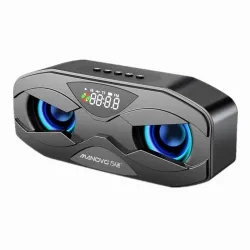 Enceinte Bluetooth - basses puissantes - Radio FM - Carte TF - LED - avec écran
