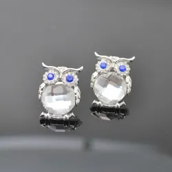 Silver necklace with crystal owlNecklaces