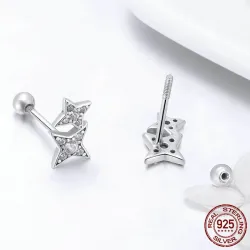 Double crystal stars - silver earringsEarrings