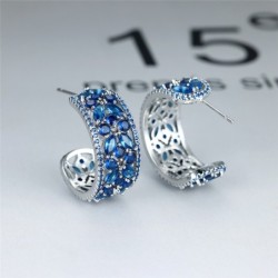 Elegant silver earrings - crystal flowersEarrings