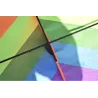 Large colorful kite - 2 piecesKites