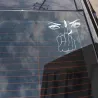 Autocollant de voiture en vinyle - yeux / majeur