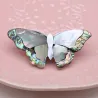 Papillon nacre - broche