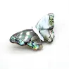 Papillon nacre - broche