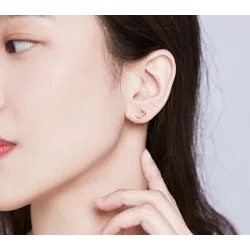 Double heart / crystals - silver earringsEarrings