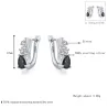 Elegant silver earrings with black crystalEarrings