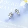 Boucles d'oreilles en argent avec une double étoile / cristaux