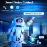 Starry sky galaxy projector - LED night light - APP control / AlexaLights & lighting