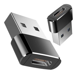 USB vers type C - Adaptateur OTG - USB-C - mâle vers micro USB type-C femelle - convertisseur - 2 pièces