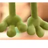 Grenouille endormie mignonne - peluche - 37-50cm