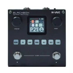 M-vave blackbox amp modeler - rechargeable guitar & bass multi-effects processorGuitars