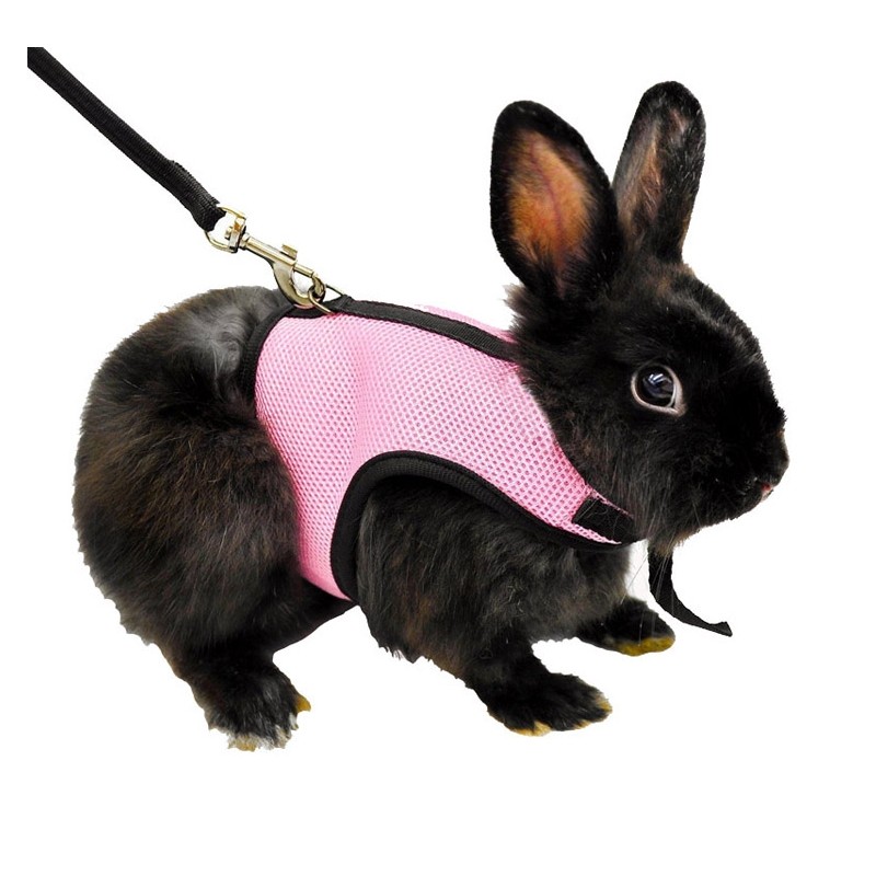 Hamster Rabbit Harness & Leash Set