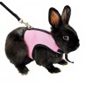 Hamster Rabbit Harness & Leash Set