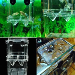 Poisson Aquarium Multifonctionnel Fish Breeding Isolation Box Incubator