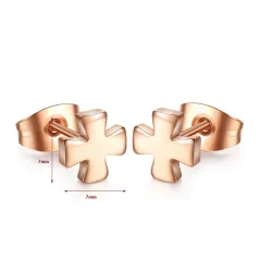 Rose Gold Stainless Steel Earrings 2 pairEarrings