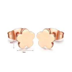 Boucles d'oreilles en acier inoxydable rose 2 paires