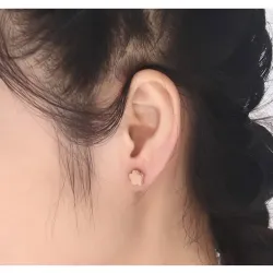 Boucles d'oreilles en acier inoxydable rose 2 paires