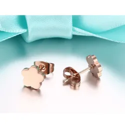 Rose Gold Stainless Steel Earrings 2 pairEarrings