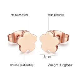 Boucles d'oreilles en acier inoxydable rose 2 paires