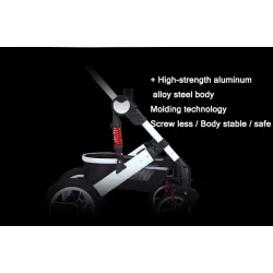 Two Way Stroller Baby's Pram 0-3 ans