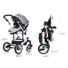 Two Way Stroller Baby's Pram 0-3 ans