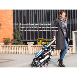 Two Way Stroller Baby's Pram 0-3 ans