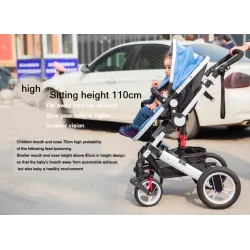 Two Way Stroller Baby's Pram 0-3 ans