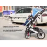 Two Way Stroller Baby's Pram 0-3 ans