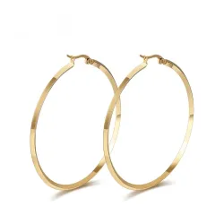 Gold & Silver Round Hoops Earrings 2 PairEarrings