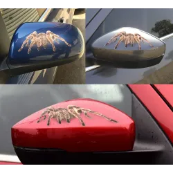3D spider & scorpion & lizard - auto sticker - decal