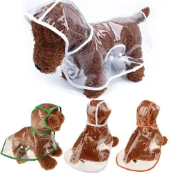 Pluie de chien - transparent