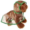 Pluie de chien - transparent