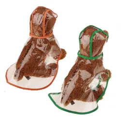 Pluie de chien - transparent