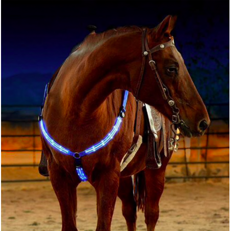 Harnais à cheval LED bandoulière collier poitrine