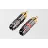 Or plaqué RCA mâle plug adaptateur vidéo & audio connecteur 2 pcs