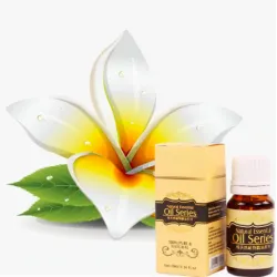 Fat Burning - huile de massage minceur 10ml