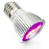 6W - E27 E14 GU10 - lumière de culture LED - hydroponique