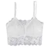 Sexy padded bra - lace topLingerie